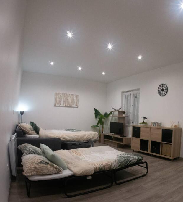 *Douceur Des Tropiques*Parisis Apartment Argenteuil Bagian luar foto